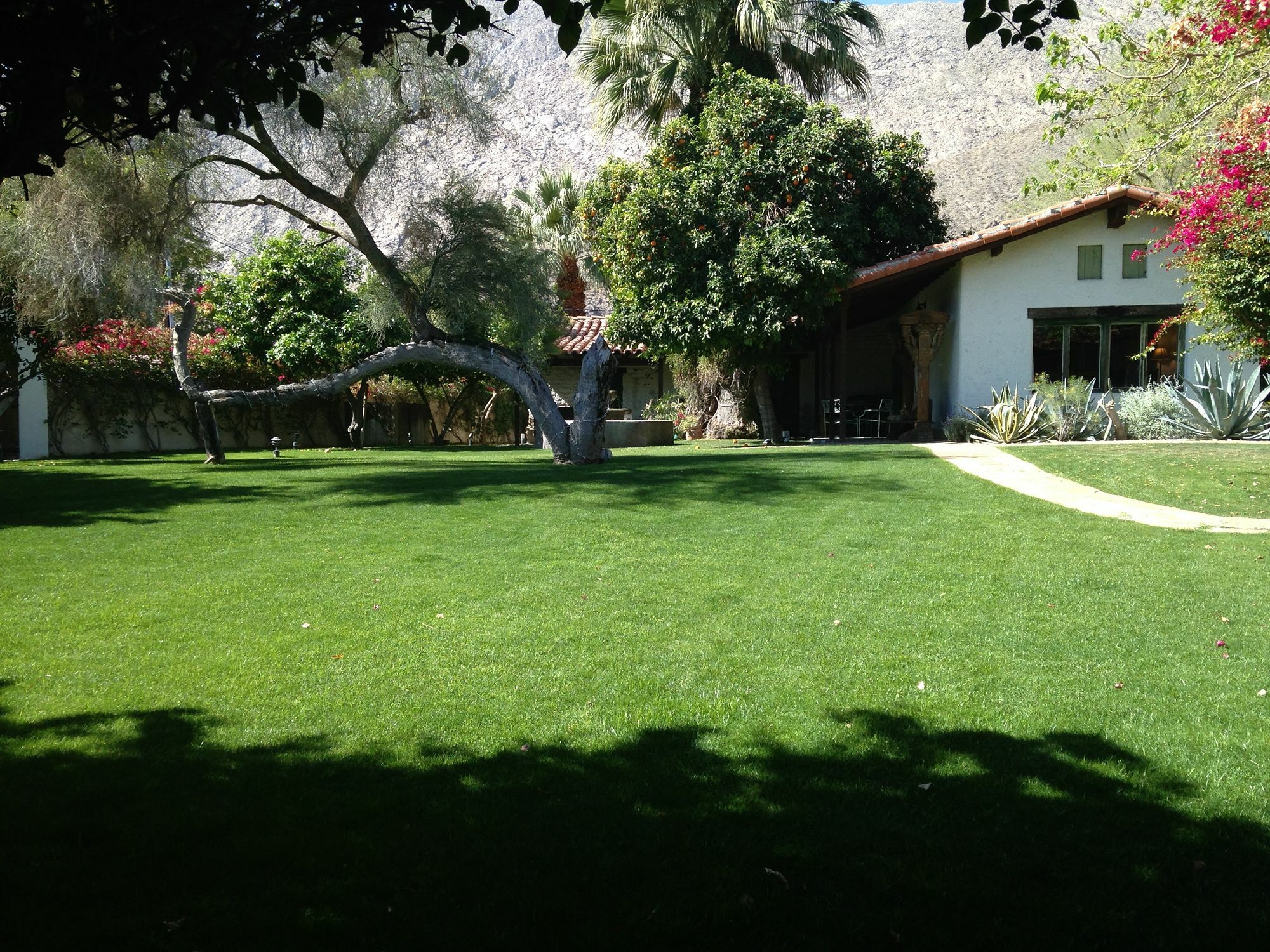 Bed and Breakfast Casa Cody Palm Springs Exteriér fotografie